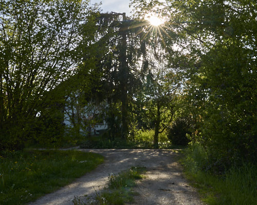 Die Pension hinter den Bäumen